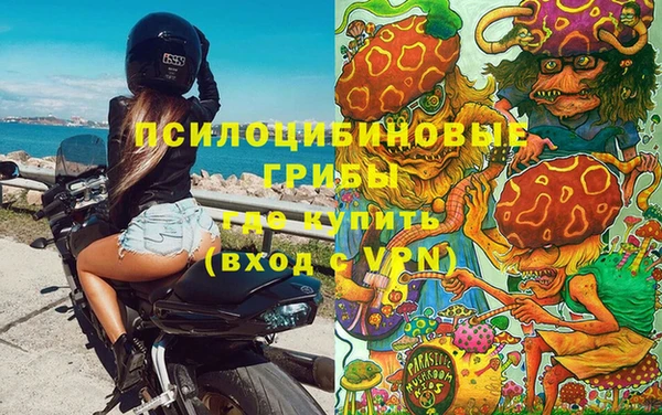 первитин Балахна
