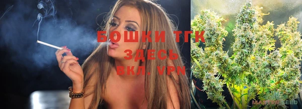 сатива Баксан